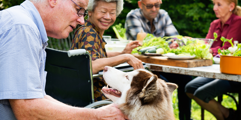 Senior Playing Pets